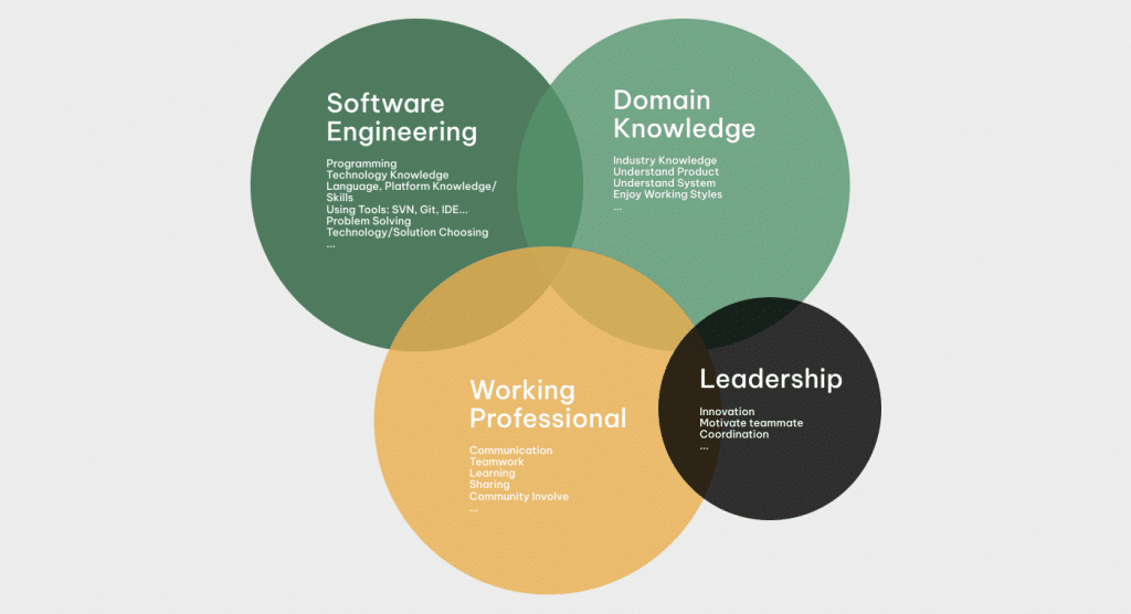 The areas of focus for a software engineer